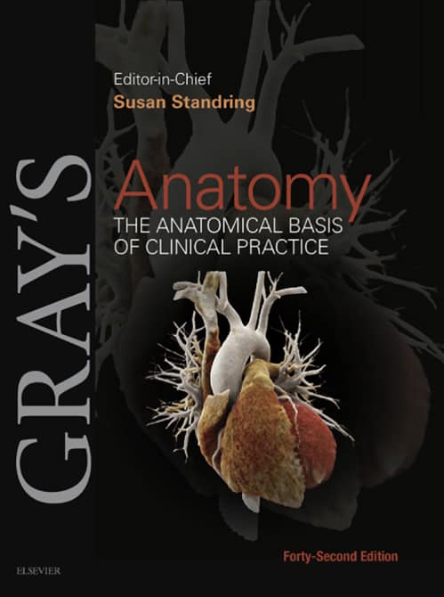 Gray's Anatomy - The Anatomical Basis Of Clinical Practice